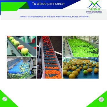 Bandas transportadoras en Industria Agroalimentaria, Frutas y Verduras