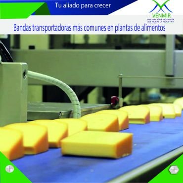 banda transportadora para alimentos